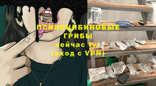 PSILOCYBIN Баксан