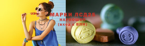 PSILOCYBIN Баксан