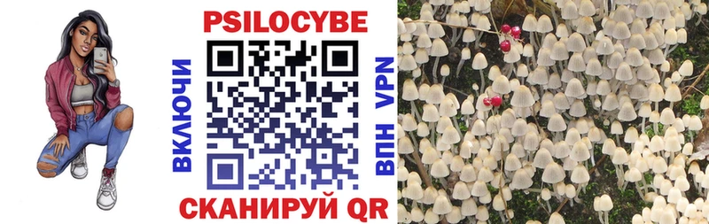 Галлюциногенные грибы Cubensis  где купить наркотик  Чернушка 
